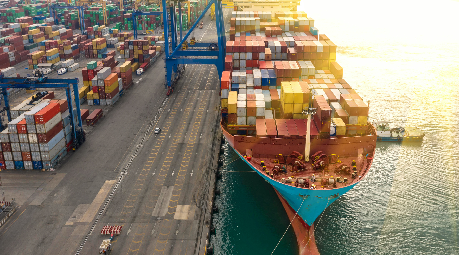 labels support export